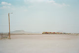 (Thilde Jensen)(The Canaries)