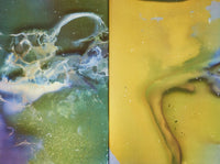 (Daisuke Yokota)(横田大輔)(CELL TYPE C)