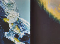 (Daisuke Yokota)(横田大輔)(CELL TYPE C)