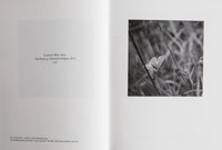 (Sophy Rickett)(The Death of a Beautiful Subject)