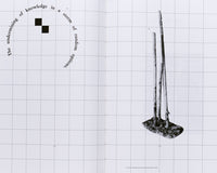 (FOS)(Gestalt)