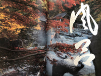 (Peter Grilli)(FURO: The Japanese Bath)