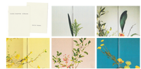 (Évita Yumul)(Close - Cropped Ikebana)