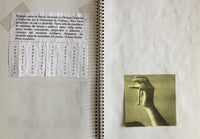 (Julie Delabarre)(Les Devoirs)