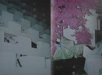 (Yusuke Yamatani)(山谷佑介)(Into the Light)