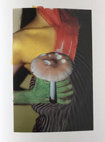 (Viviane Sassen)(Of Mud and Lotus)