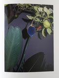 (Viviane Sassen)(Of Mud and Lotus)