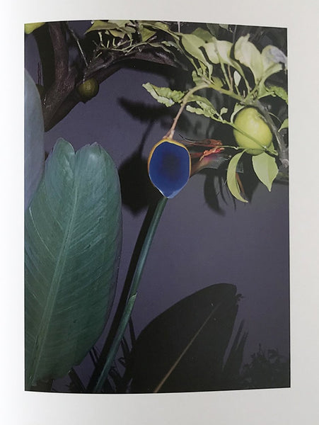 Viviane Sassen “Of Mud and Lotus” （G/P Gallery） ｜Tokyo Art Beat