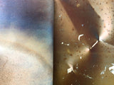 (Daisuke Yokota)(横田大輔)(Matter - 2016)