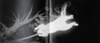 (Trent Parke)(Minutes to Midnight)