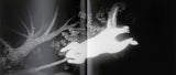 (Trent Parke)(Minutes to Midnight)