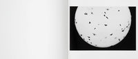 (Trent Parke)(Minutes to Midnight)