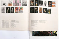 (Nico Krijno)(Synonym Study)