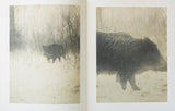 (Stephen Gill)(Night Procession)