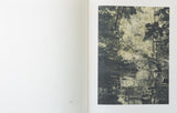(Stephen Gill)(Night Procession)