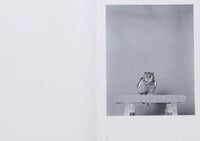 (Jack Latham)(Parliament Of Owls)