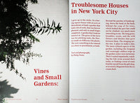 (The Plant Journal - Issue 1 Staghorn Fern)