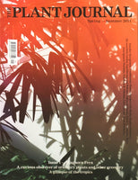 (The Plant Journal - Issue 1 Staghorn Fern)