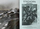 (The Plant Journal - Issue 1 Staghorn Fern)