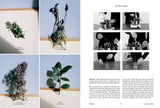 (The Plant - Issue 6 Spider Plant)