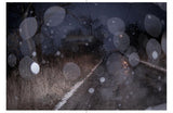 (Todd Hido)(Seasons Road)