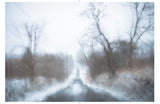 (Todd Hido)(Seasons Road)