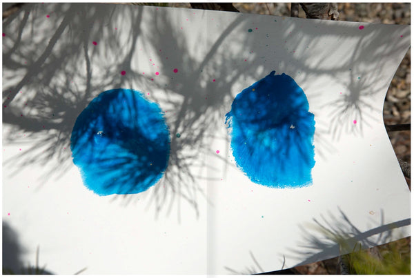 Photobook: Roxane II by Viviane Sassen - 1854 Photography