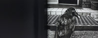 (Shinjuku Lost Child)(新宿迷子)(Yang Seung-woo)(梁丞佑)
