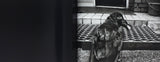 (Shinjuku Lost Child)(新宿迷子)(Yang Seung-woo)(梁丞佑)
