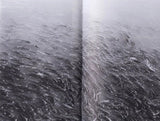 (Thomas Boivin)(A Short Story)