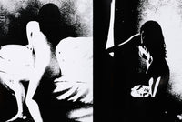 (Daisuke Yokota)(横田大輔)(Taratine)(垂乳根)