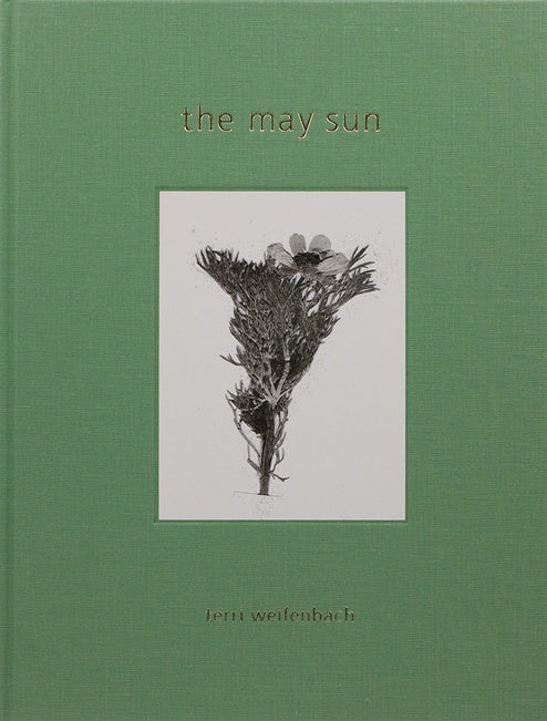 the may sun terri werfenbach テリ　ワイフェンバック Terri Weifenbach)(テリ・ワイフェンバック)(the may sun