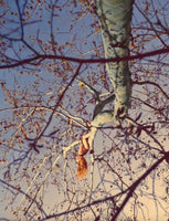 (Ryan McGinley)(Way Far)