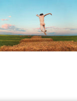 (Ryan McGinley)(Way Far)