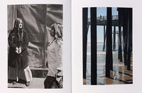 (Ed Templeton)(Memories of the salt charged whiffs)