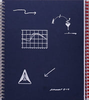 (DAN BOARDMAN & ASPEN MAYS)(We’ve Been, Where We’re Going, Why?)