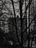 (Arthur Bondar)(Shadows of Wormwood)